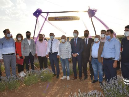 “Tıbbi ve Aromatik Bitki Yetiştiriciliği Projesi”  hasat etkinliğine katıldı. 29/06/2021